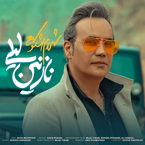 Cover artwork for Nazanin Leily by Shahram Shokoohi